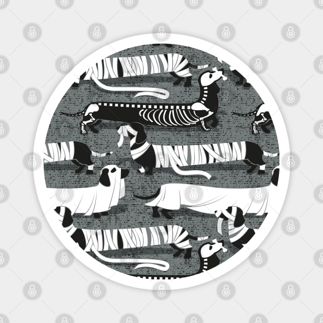 Spooktacular long dachshunds // pattern // green grey background mummy ghost and skeleton dogs Magnet by SelmaCardoso